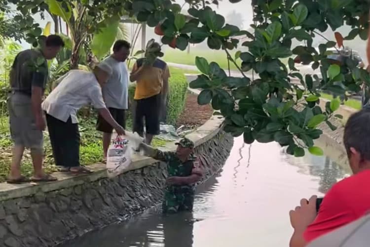 Warga Cianjur Dibuat Geger, Bayi Baru Lahir Ditemukan Mengambang di Saluran Irigasi
